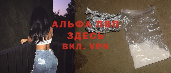крисы Козельск