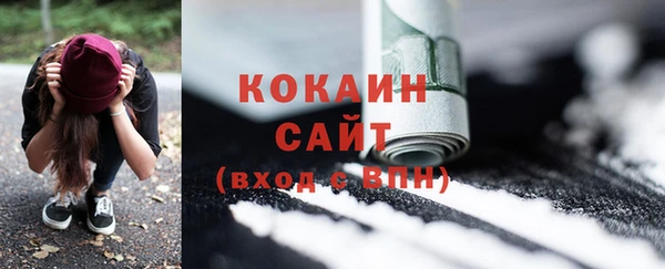 крисы Козельск
