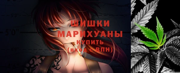 крисы Козельск