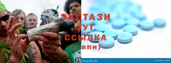 крисы Козельск