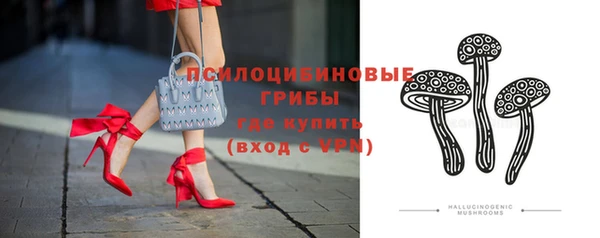 крисы Козельск