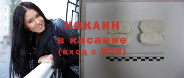крисы Козельск