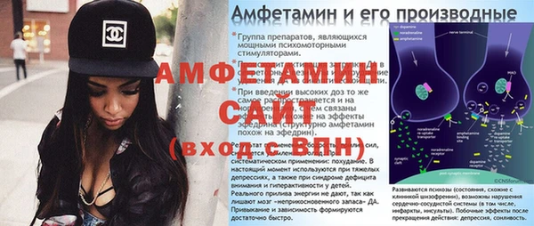 крисы Козельск