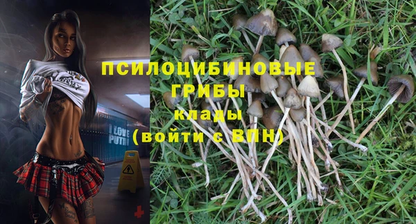 мескалин Кодинск