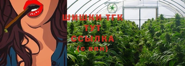 крисы Козельск