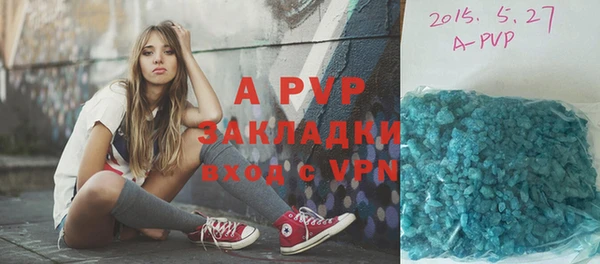крисы Козельск