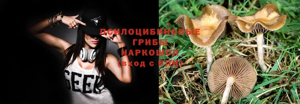 дурь Козловка