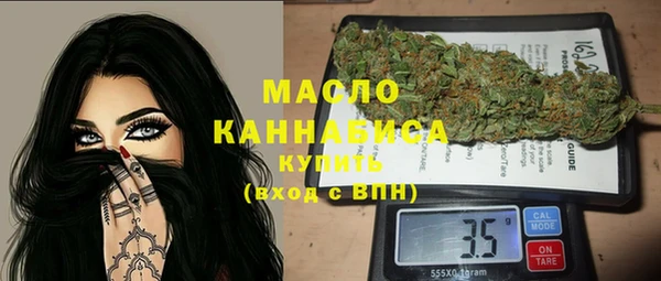 крисы Козельск