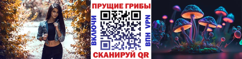 Купить  Биробиджан  Псилоцибиновые грибы мухоморы 